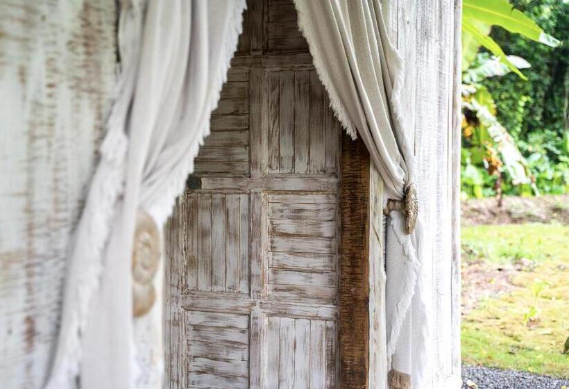 בקתה סטנדרטית, Sonora Jungle & Yoga Retreat