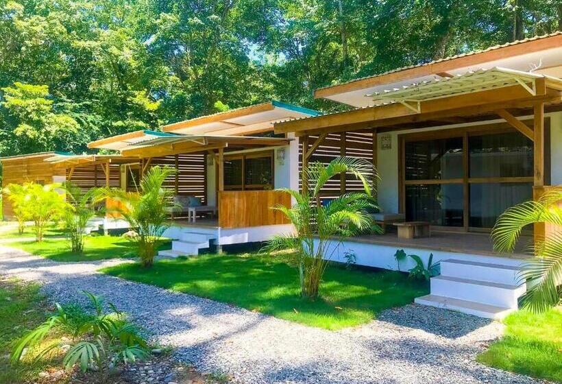 Бунгало Стандарт, Sonora Jungle & Yoga Retreat