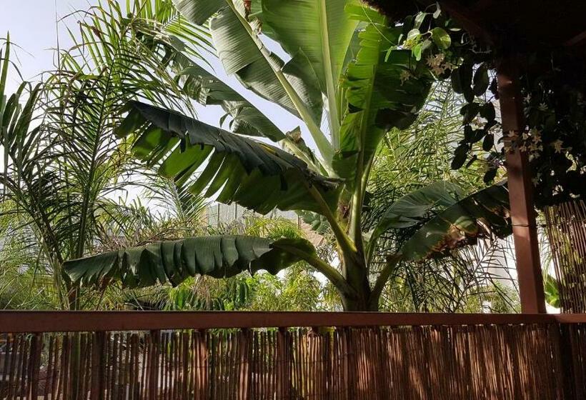 غرفة قياسية مزوَّدة بتراس, Finca La Barca