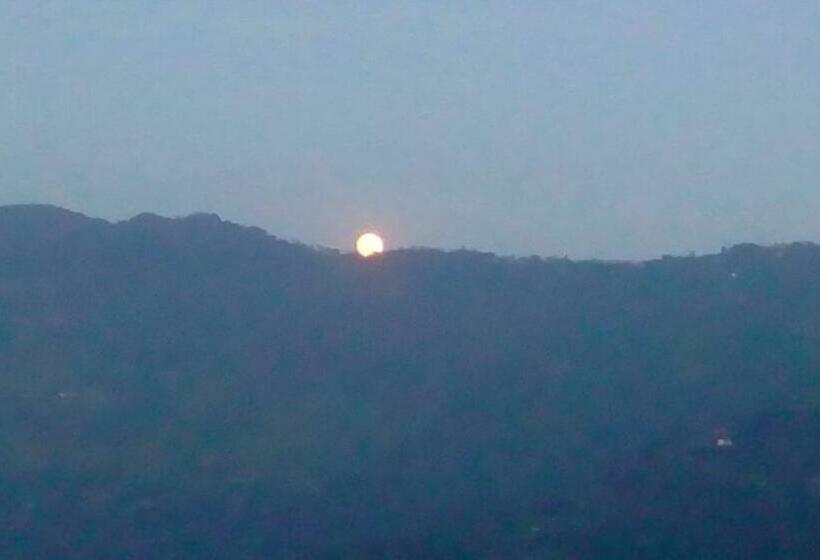 Bed in Shared Room, Backpackers Hub