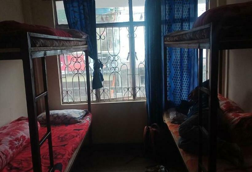 Bed in Shared Room, Backpackers Hub