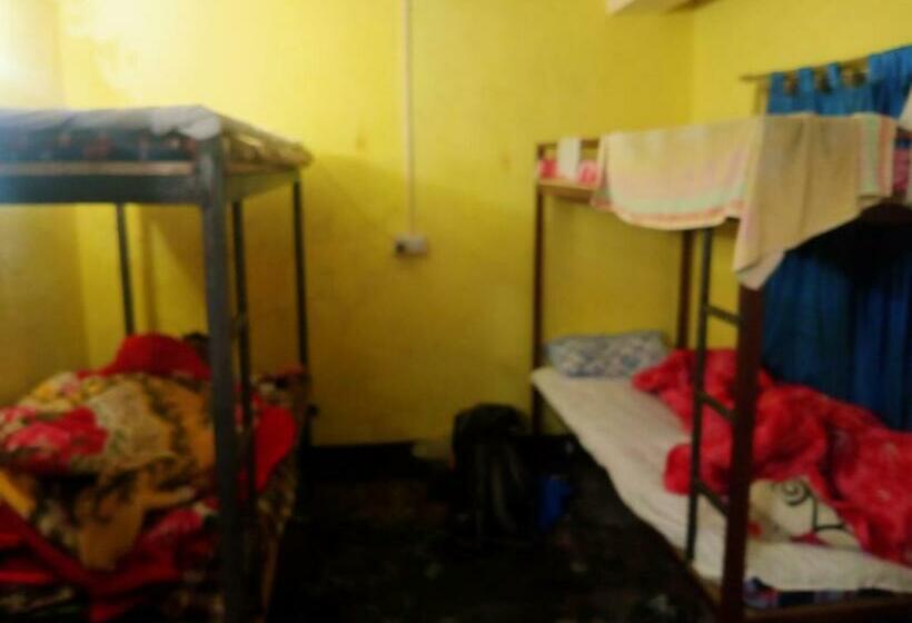 Bed in Shared Room, Backpackers Hub