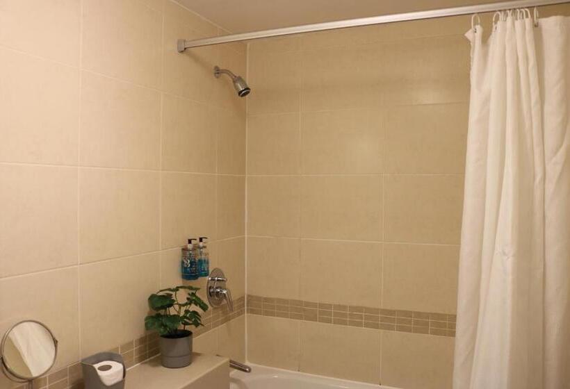 Семейный Номер, Norfolk Arms