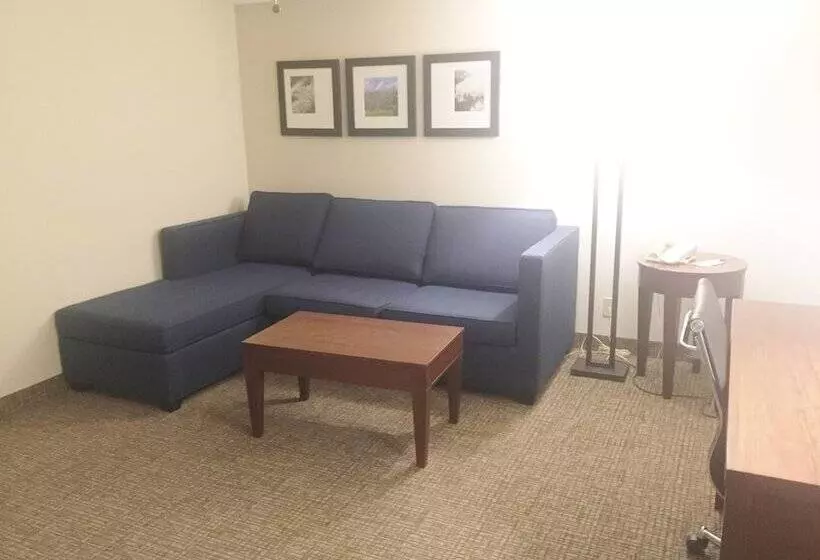 سوییت, Comfort Inn & Suites Airport