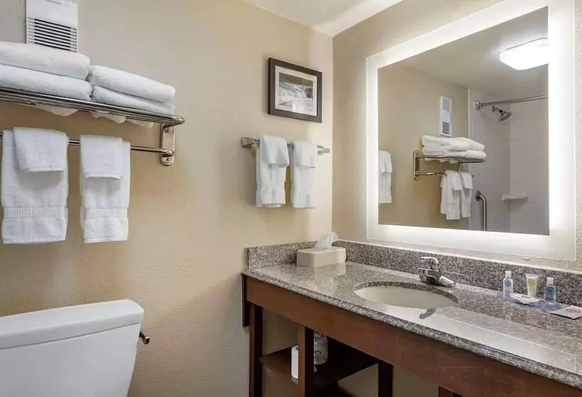 سوییت, Comfort Inn & Suites Airport