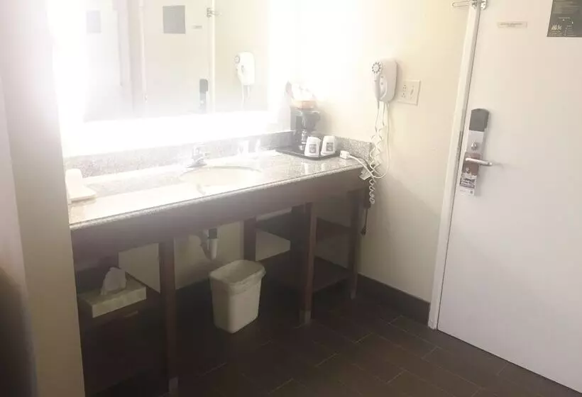 اتاق استاندارد با تخت بزرگ, Comfort Inn & Suites Airport