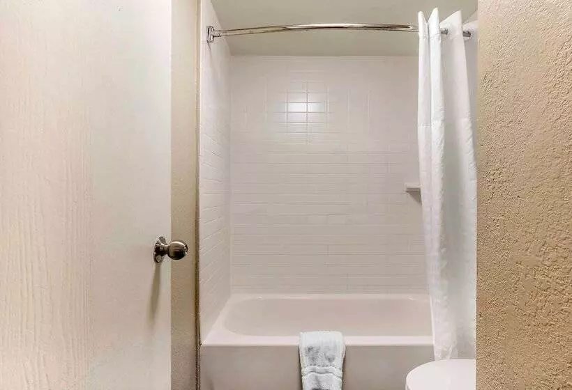 اتاق استاندارد با تخت بزرگ, Comfort Inn & Suites Airport