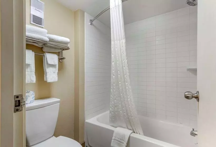 اتاق استاندارد با تخت بزرگ, Comfort Inn & Suites Airport