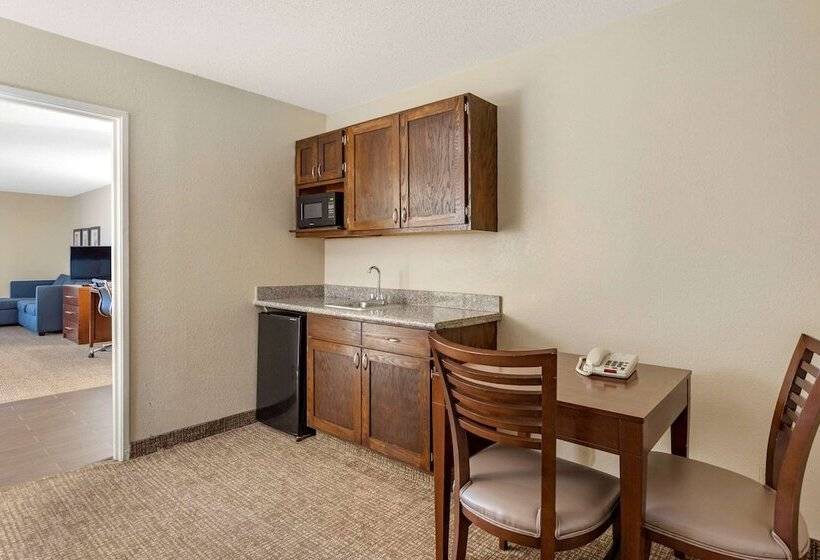 غرفة قياسية سرير كينج, Comfort Inn & Suites Airport