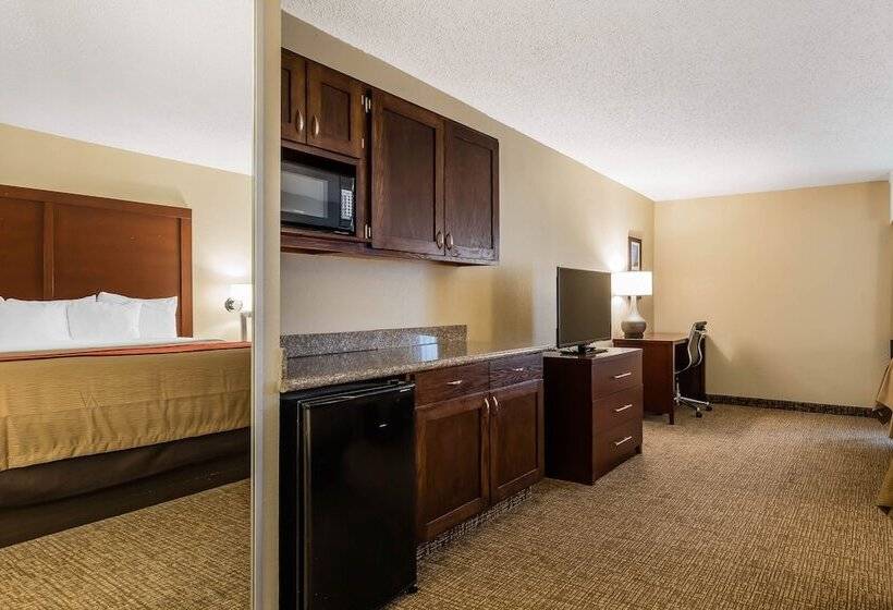 غرفة قياسية سرير كينج, Comfort Inn & Suites Airport