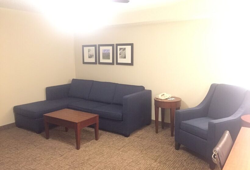 جناح, Comfort Inn & Suites Airport