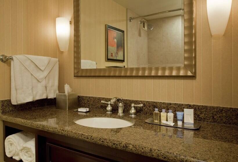 Номер Стандарт Двуспальная Кровать, Doubletree By Hilton Hotel Syracuse