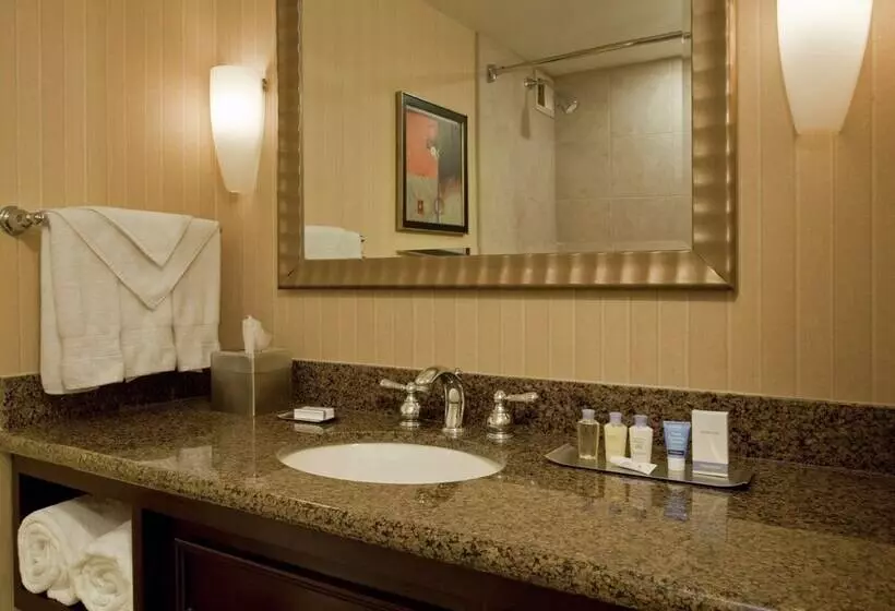 ダブルベッドスタンダードルーム, Doubletree By Hilton Hotel Syracuse