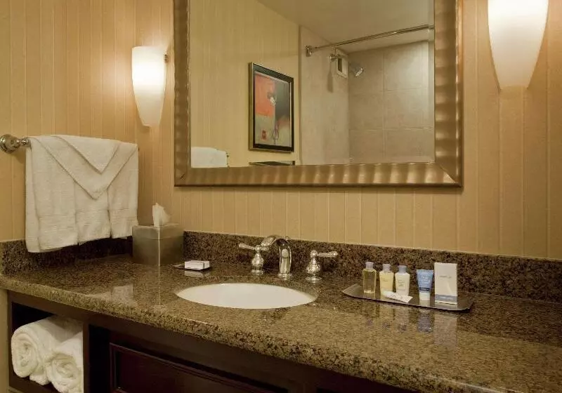 バルコニー付きスタンダードルーム, Doubletree By Hilton Hotel Syracuse