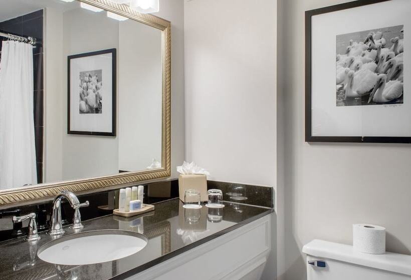 اتاق لوکس, Omni Riverfront New Orleans