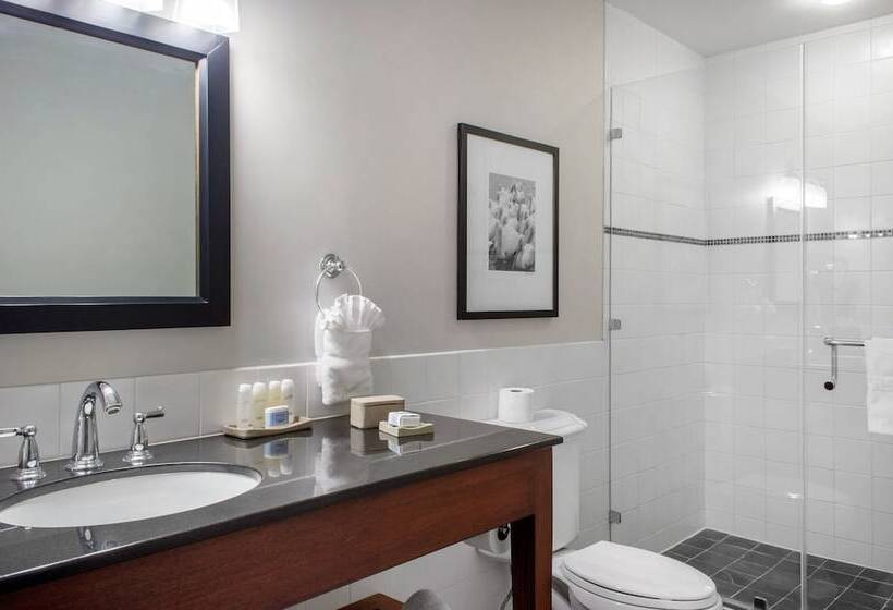 غرفة ديلوكس لذوى الاحتياجات الخاصة, Riverfront Hotel New Orleans