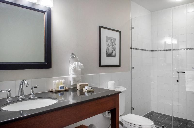 سوئیت با تخت بزرگ, Omni Riverfront New Orleans