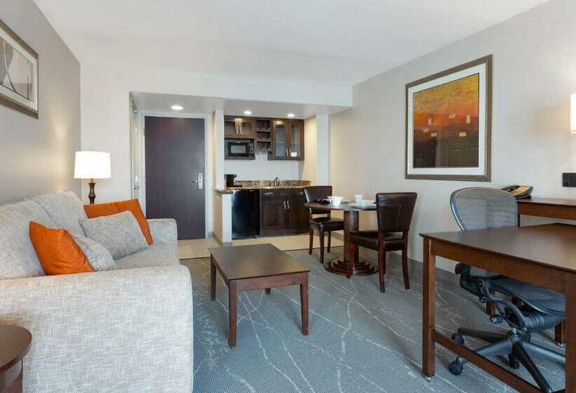 带大床的套房, Wingate By Wyndham Tinley Park