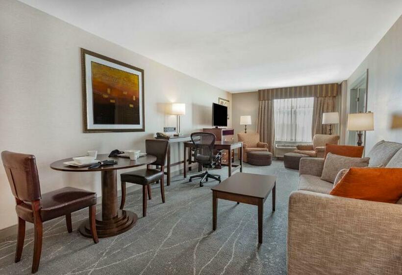 带大床的套房, Wingate By Wyndham Tinley Park