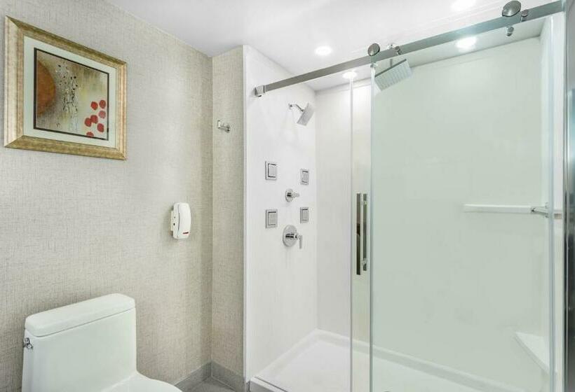 Люкс Кровать Кинг, Wingate By Wyndham Tinley Park