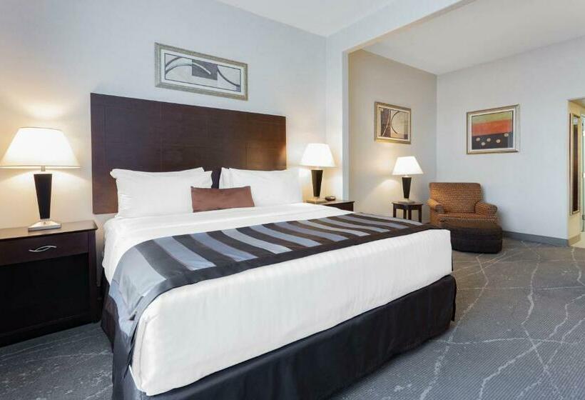 带大床的标准间, Wingate By Wyndham Tinley Park