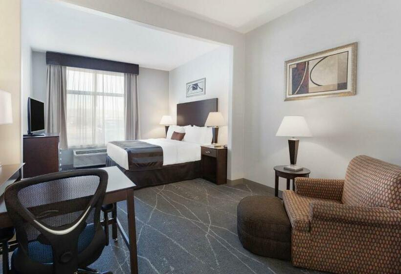 带大床的标准间, Wingate By Wyndham Tinley Park