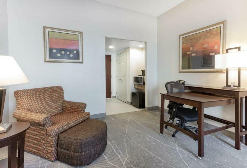 带大床的标准间, Wingate By Wyndham Tinley Park