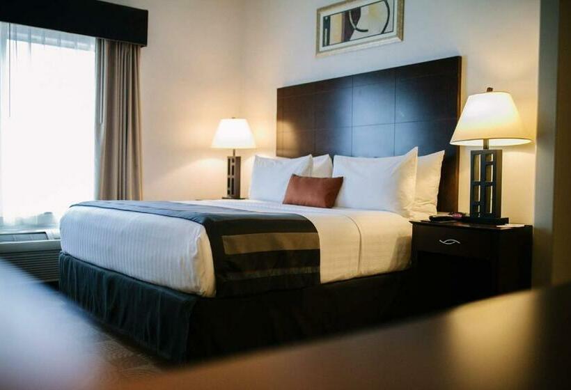 带大床的豪华间, Wingate By Wyndham Tinley Park