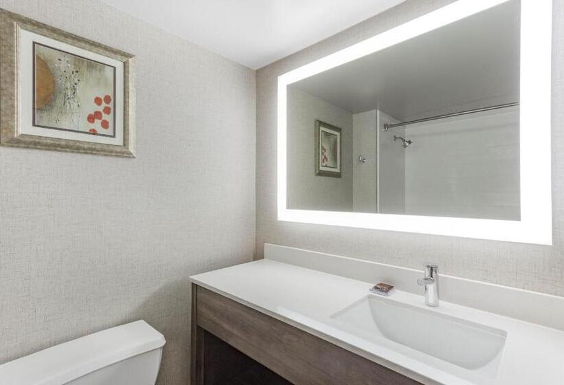 Номер Deluxe Кровать Кинг, Wingate By Wyndham Tinley Park
