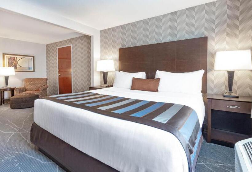 带大床的标准间, Wingate By Wyndham Tinley Park