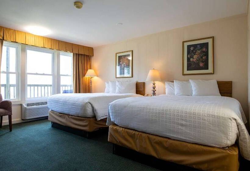 스탠다드 룸 더블 침대 2개, Wonder View Inn