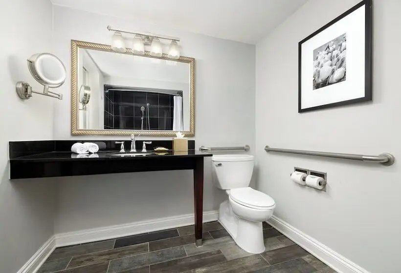 غرفة ديلوكس لذوى الاحتياجات الخاصة, Riverfront Hotel New Orleans