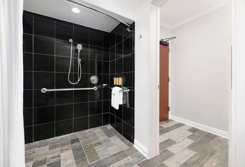 غرفة ديلوكس لذوى الاحتياجات الخاصة, Riverfront Hotel New Orleans