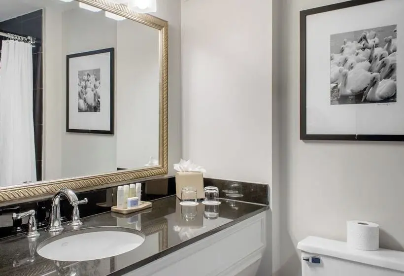 غرفة ديلوكس لذوى الاحتياجات الخاصة, Riverfront Hotel New Orleans