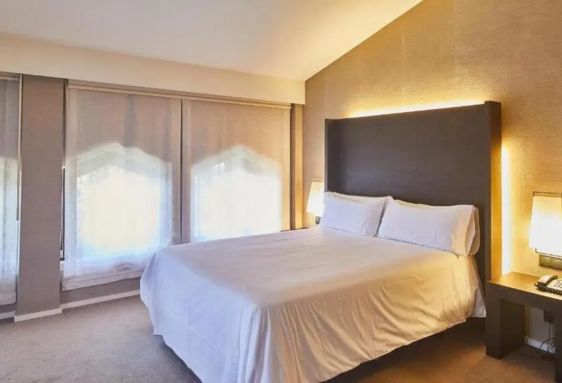 اتاق سوپریور, Silken Gran Hotel Durango