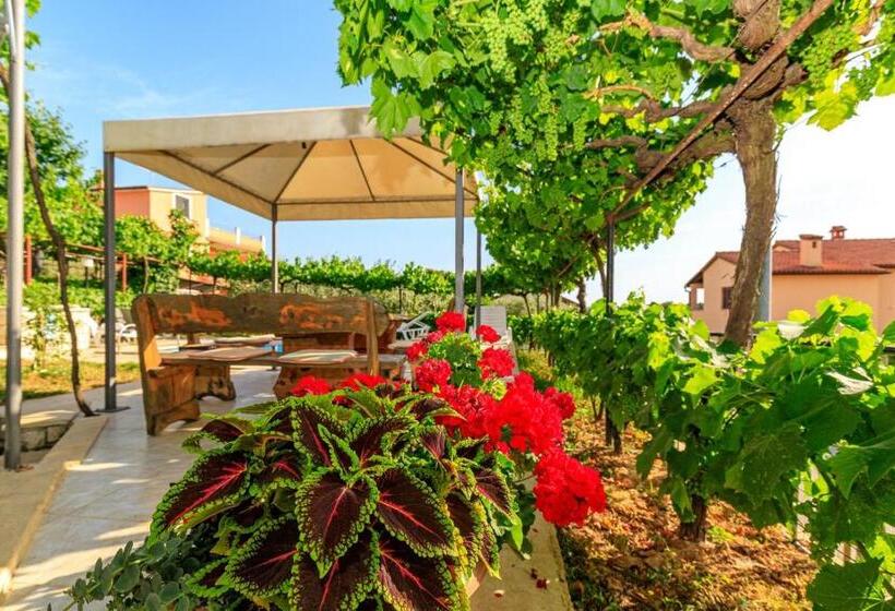 Апартаменты 1 Спальня, Apartments Slavko