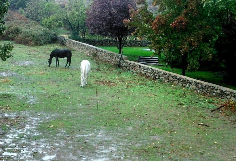 高级大房间, El Turcal