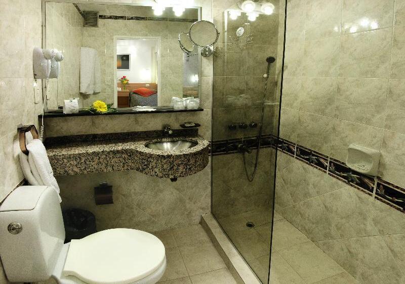 اتاق استاندارد, Sarmiento Palace