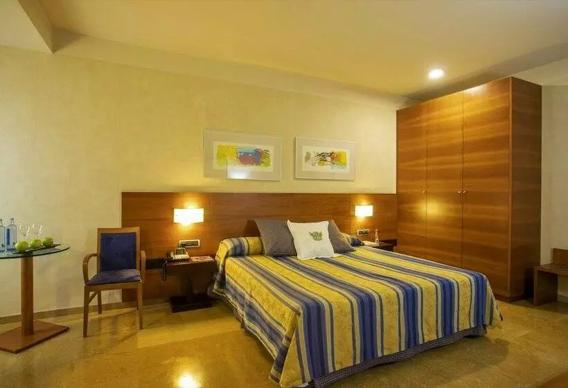 اتاق سوپریور, Sercotel Palacio De Tudemir