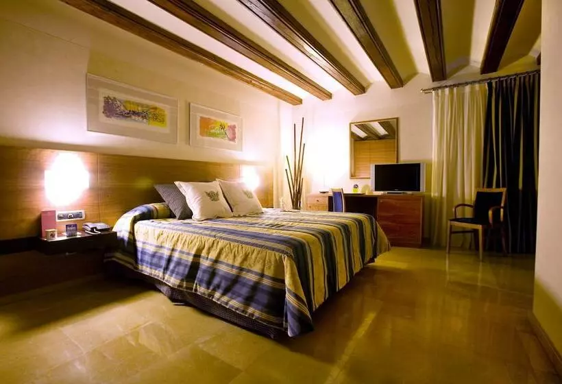 اتاق سوپریور, Sercotel Palacio De Tudemir