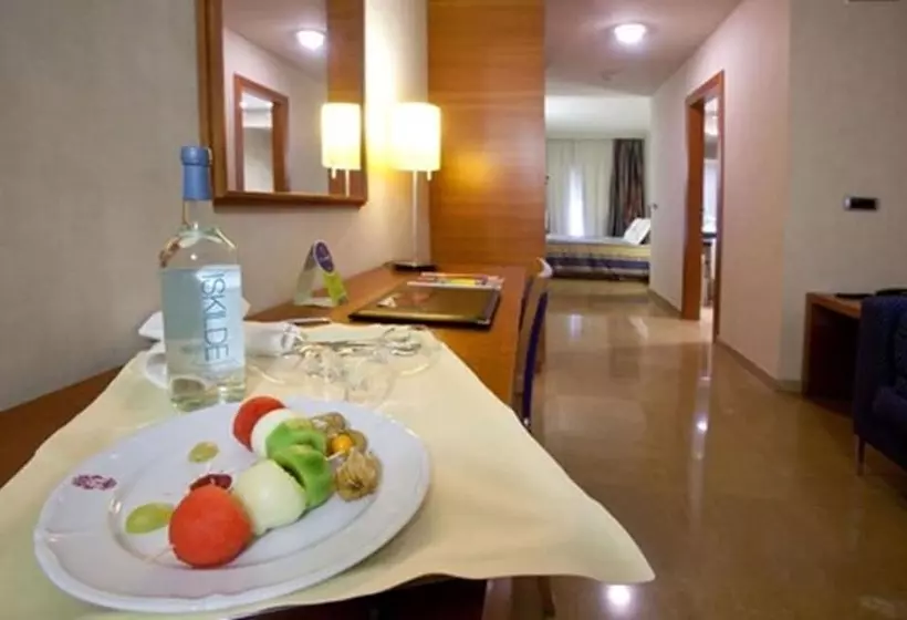 اتاق سوپریور, Sercotel Palacio De Tudemir