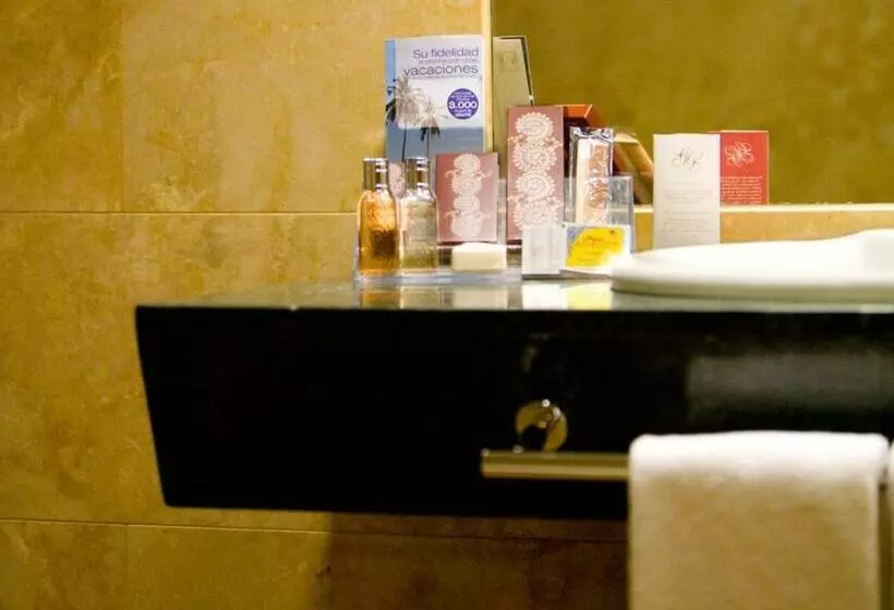 اتاق استاندارد یک نفره, Sercotel Palacio De Tudemir
