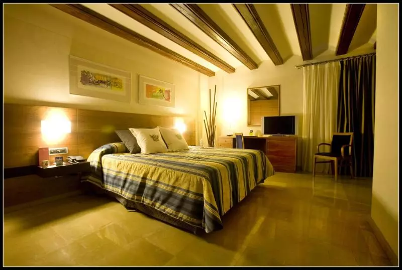 اتاق استاندارد یک نفره, Sercotel Palacio De Tudemir