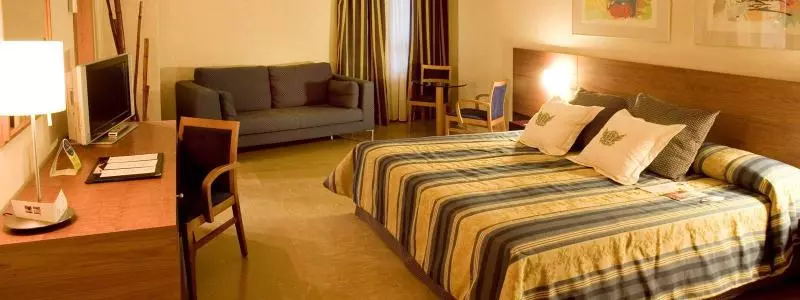 اتاق سوپریور, Sercotel Palacio De Tudemir