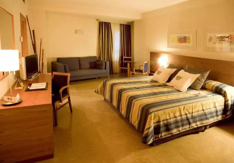 اتاق استاندارد, Sercotel Palacio De Tudemir