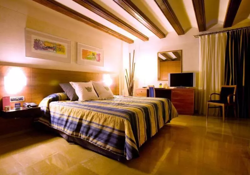 اتاق استاندارد, Sercotel Palacio De Tudemir