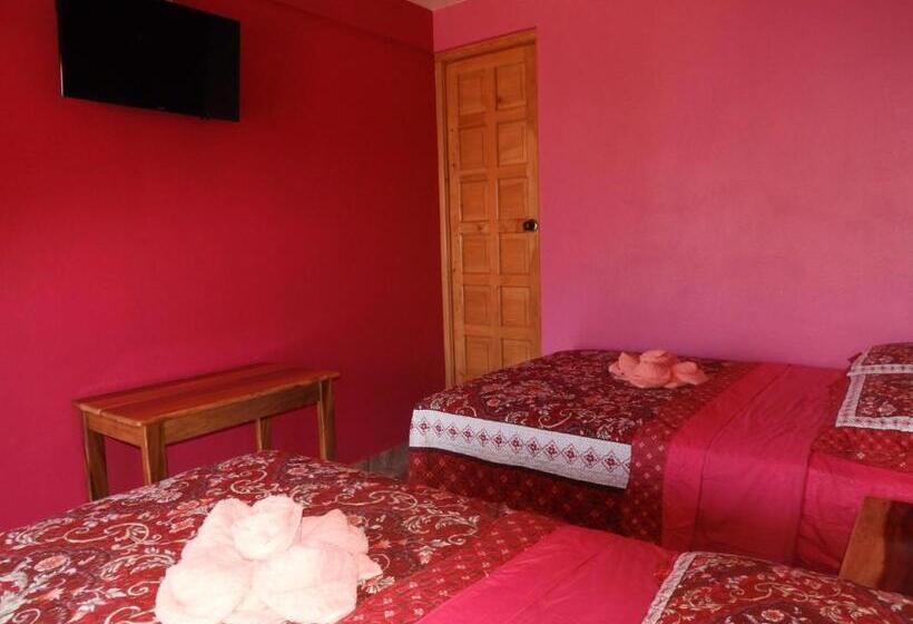 اتاق اکونومی, Adulam