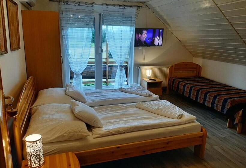 家庭间, Hartmann Panzió