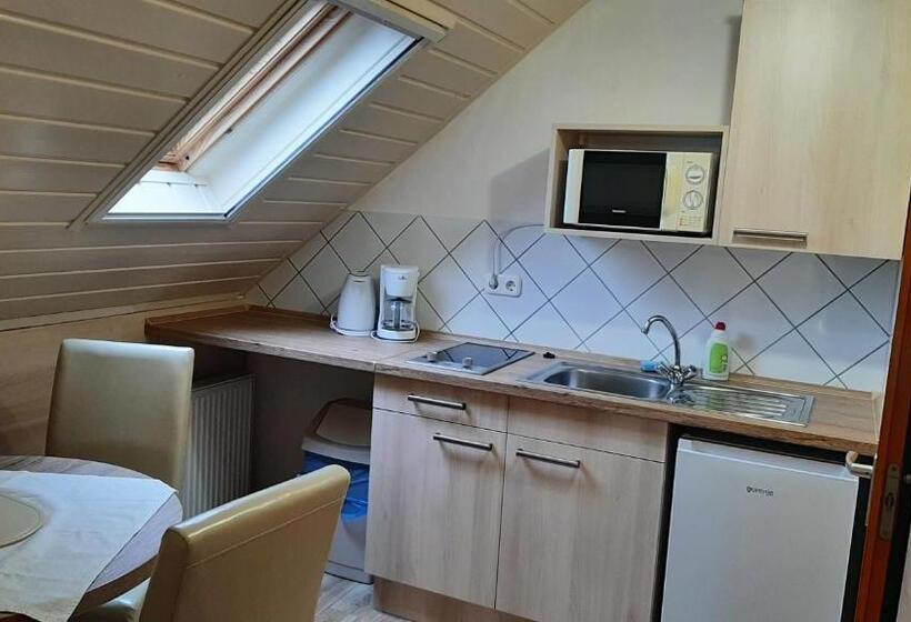 家庭间, Hartmann Panzió