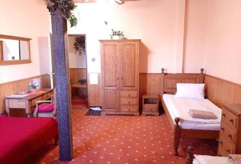 غرفة قياسية ثلاثية حمام مشترك, Garni Hotel Asas